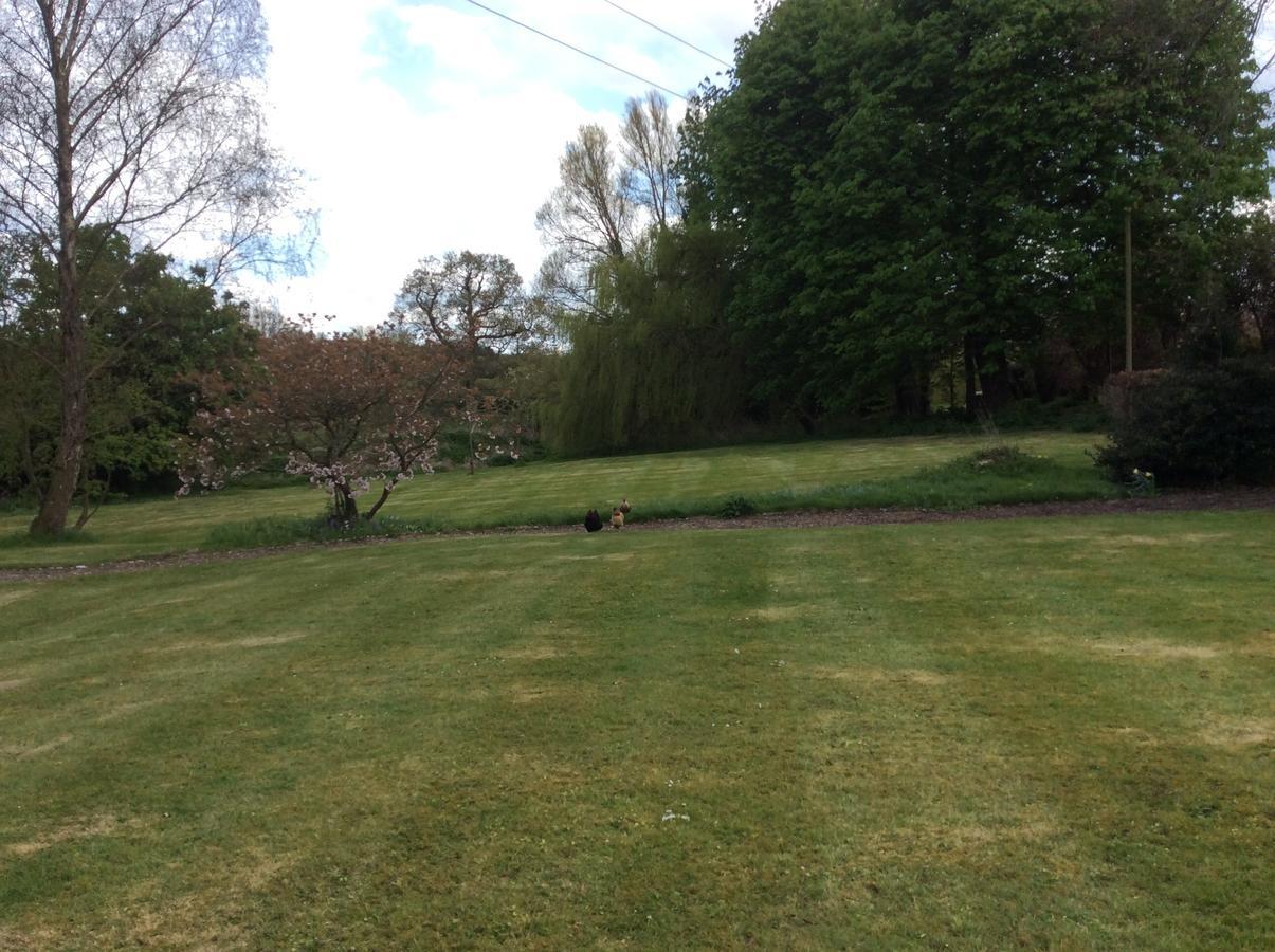 Bed and Breakfast Sidney House Farm à Saxlingham Chambre photo